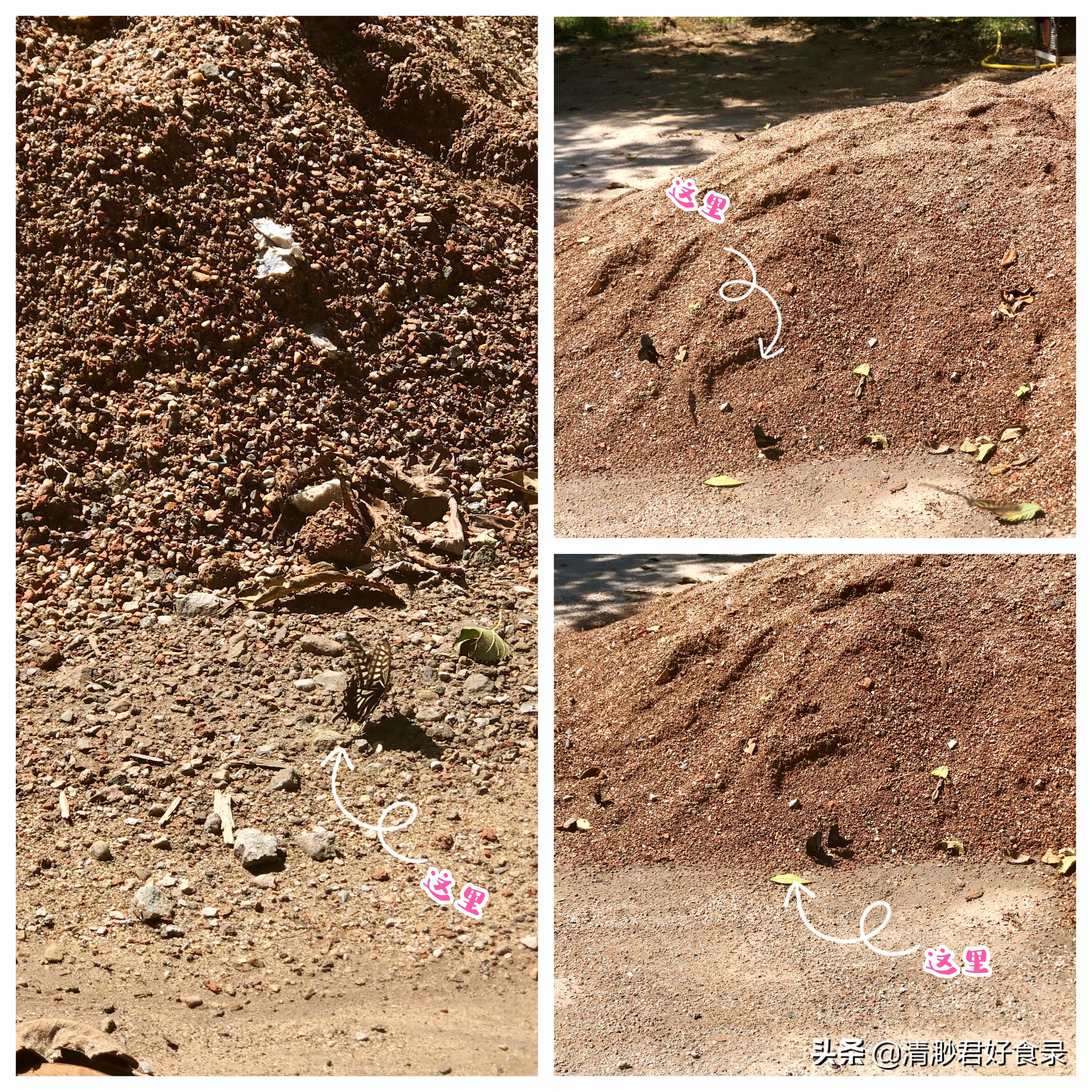 中秋假期去哪里玩？帶著爸媽領著娃，去北京郊區這地，賞景吃美食