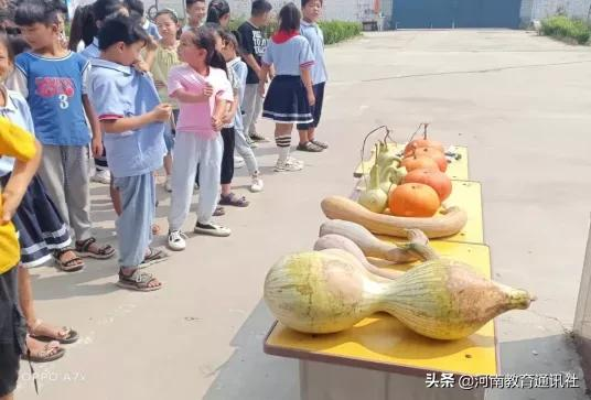 滑縣牛屯鎮(zhèn)中小學(xué)校慶祝農(nóng)民豐收節(jié)專題活動(圖23)