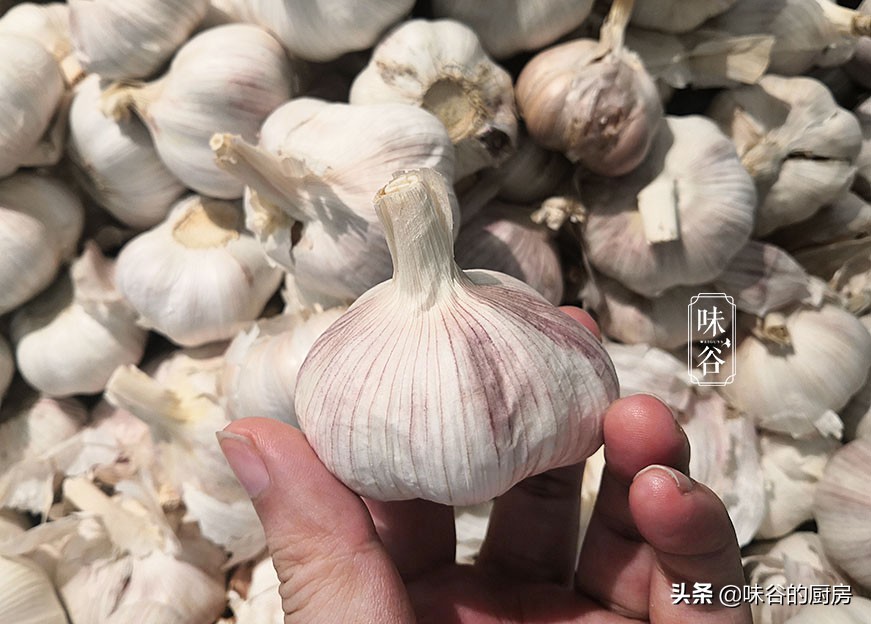 買大蒜時，要看4個地方，輕鬆挑出優質大蒜，隨吃隨新鮮，真實用