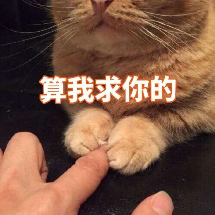 貓咪的9種常見性格總結,你家貓咪屬於哪種呢?