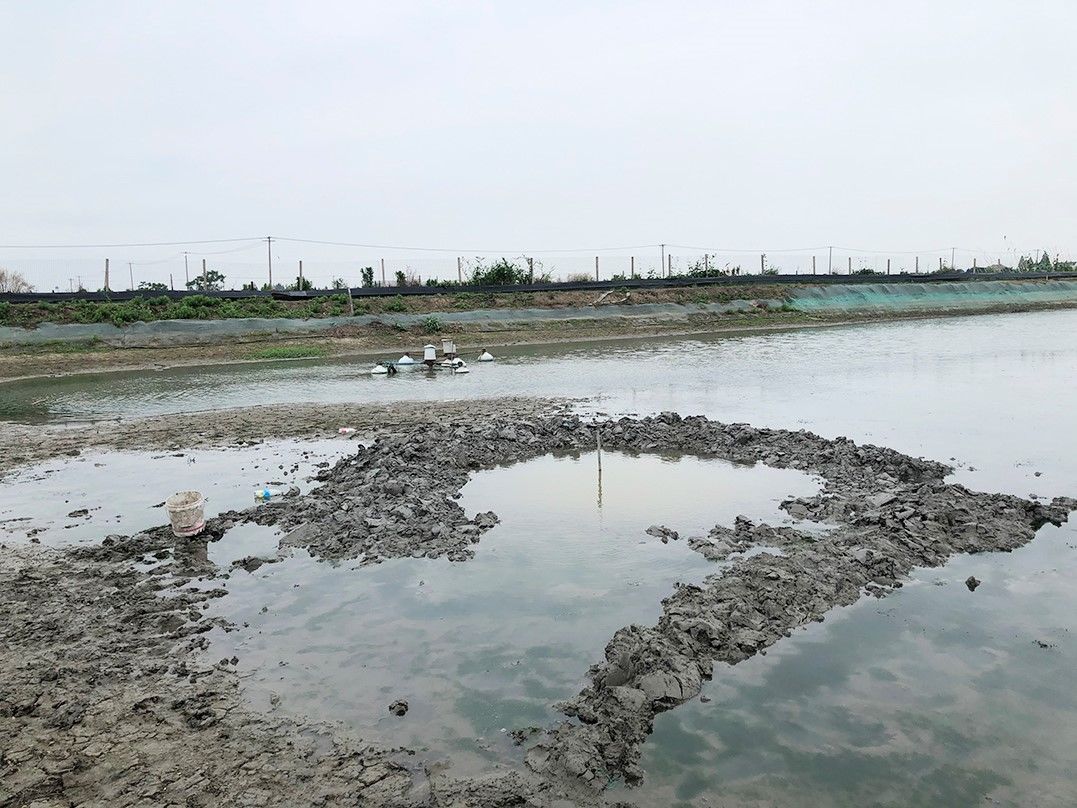 奥巴马证实ufo真实性，全球各处浮现不明物体，嘉兴上空也有坠落