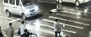 “我死我有理”？人民曰报怒批：再不整治，会