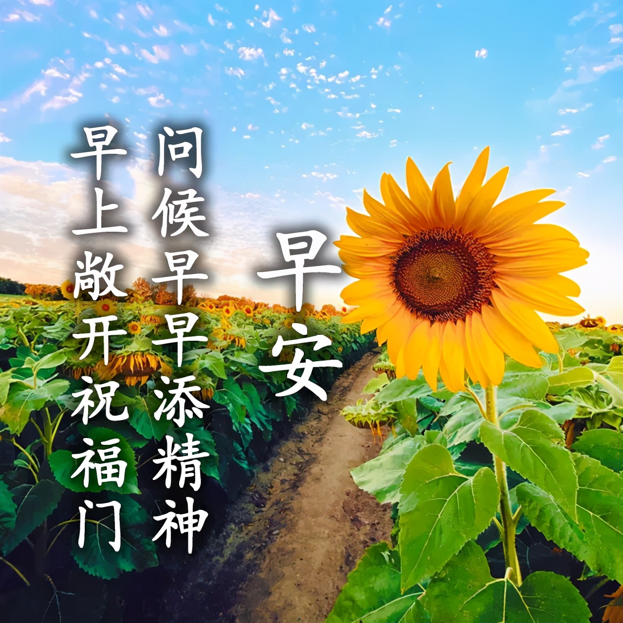 早上好图片2021最新图片 又是新的一天图片