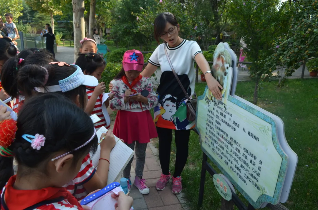 奎文区金宝实验小学：办适合孩子发展的教育(图12)