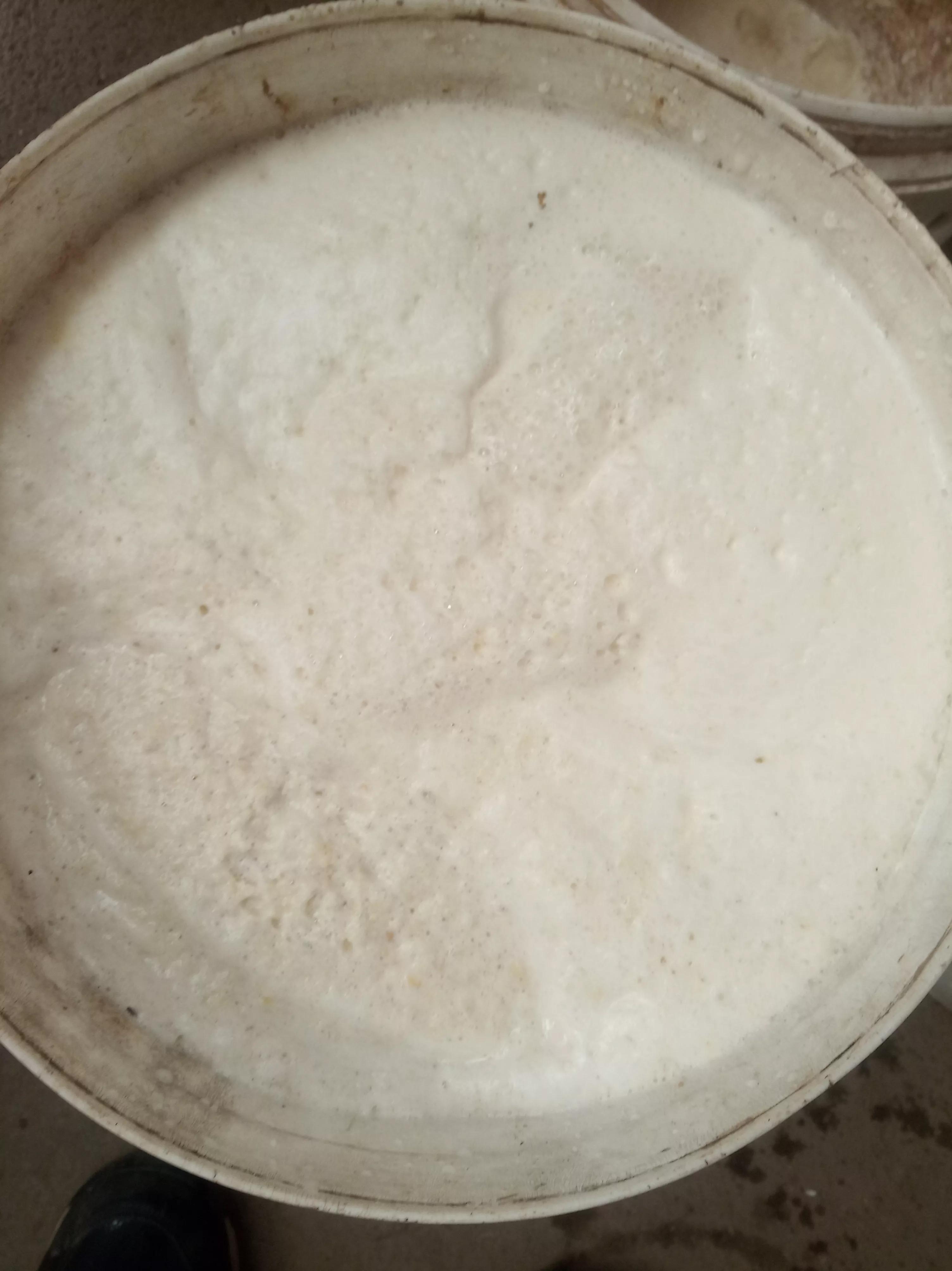低温给小龙虾投喂豆浆和豆粕到底需不需要煮熟？直接投生的就行