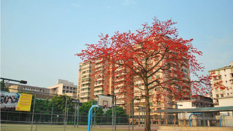 我国这四所中医药“老四校”，学校实力强劲，学医考生的理想大学