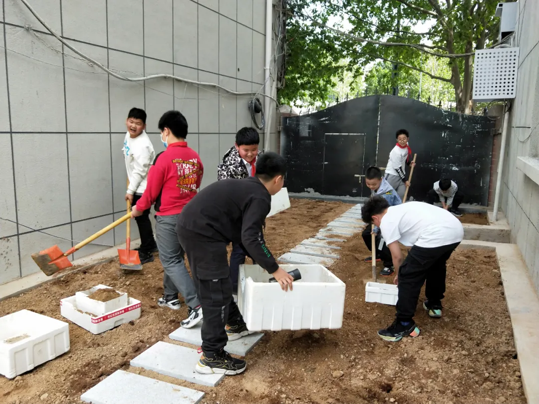 郑州市中原区郑上路小学怎么样?豫见仲景(图12)