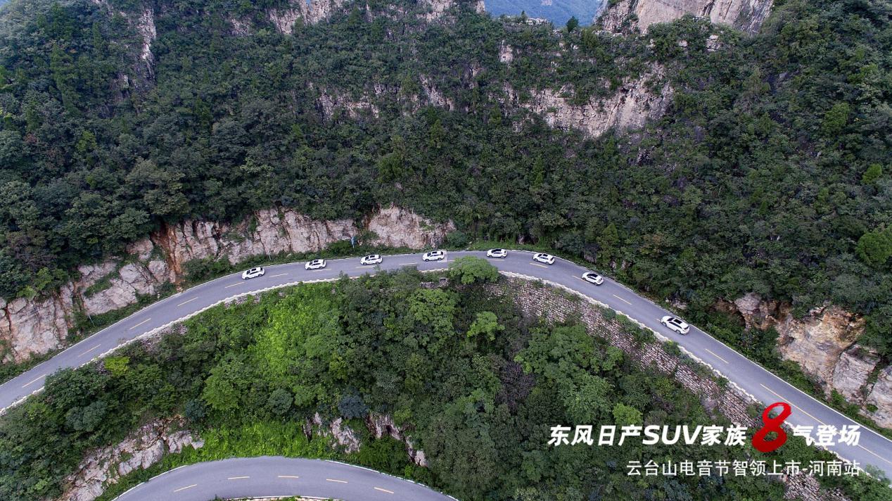 大河报汽车网