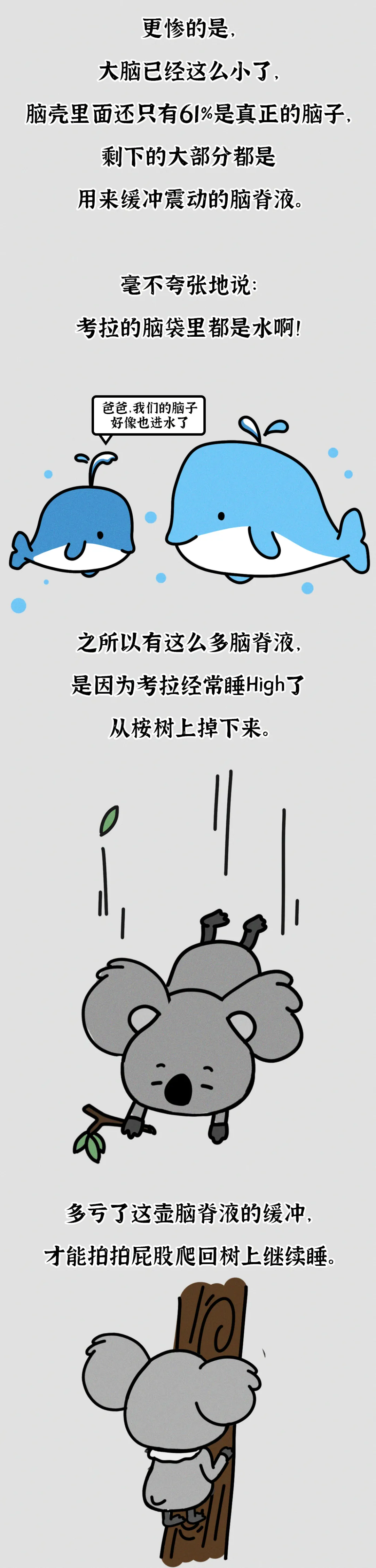 吃屎長大，一生嗑“毒”，這么萌的動物卻這么慘？