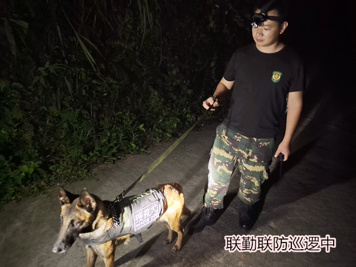 90后退伍兵叶传堪：深情演绎“广西版战狼”惹人爱