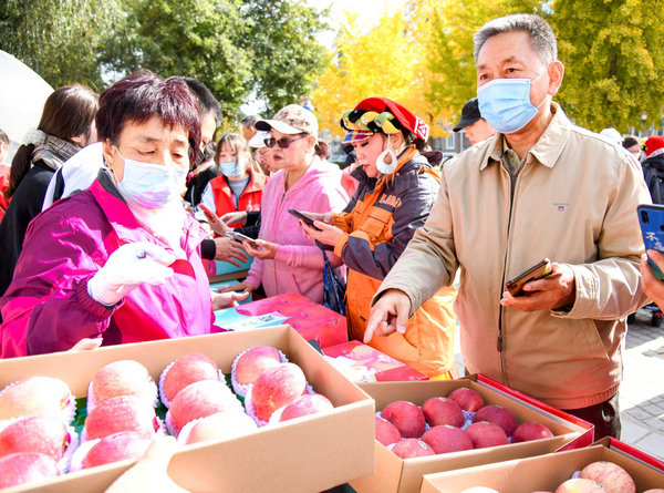 “苹天”秋色 居民同乐——昌平第十七届苹果文化节活动进社区
