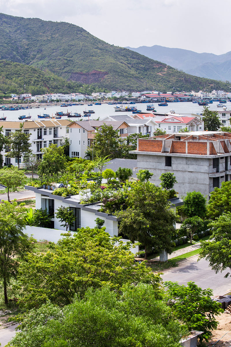 本想就要个花园，却在屋顶设计出梯田花园，成了大家效仿的对象