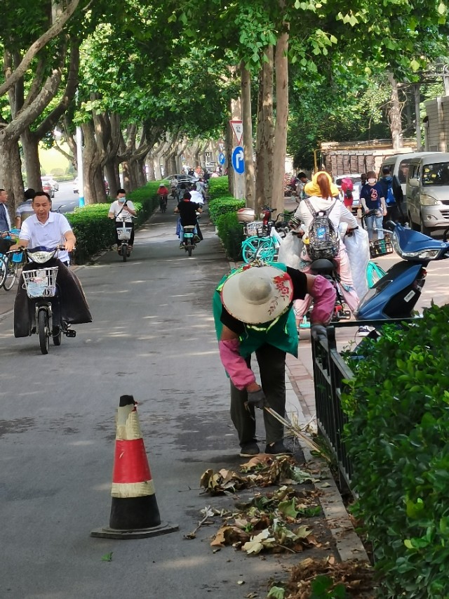 如何用园林栽培技术防治园林植物病虫害-第2张图片-农百科