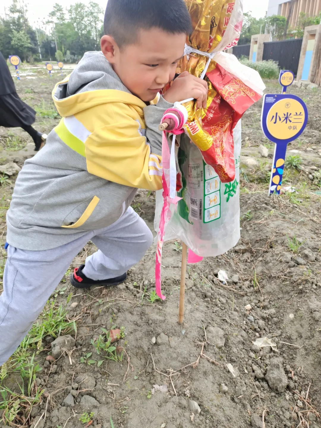 双流区实验小学外国语学校丨最美人间四月天 幸福农场齐生长