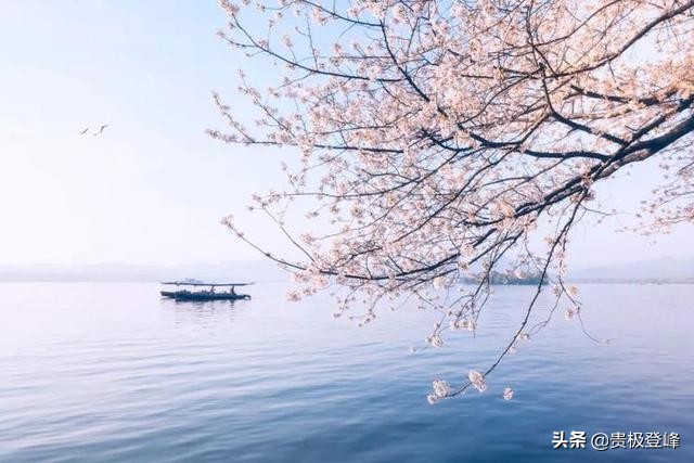 最美七言唐诗十首，如一幅优美的画作，诗美意境更美-第3张图片-非凡网