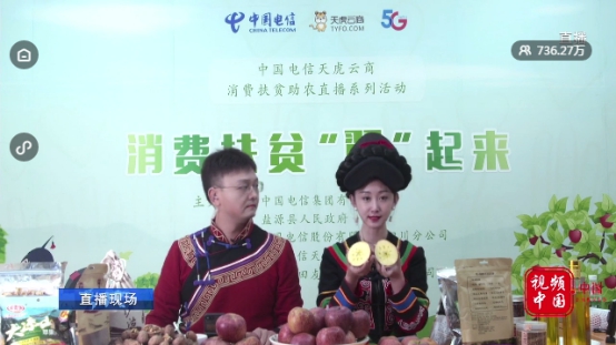 中国电信消费扶贫助农直播盐源专场圆满成功