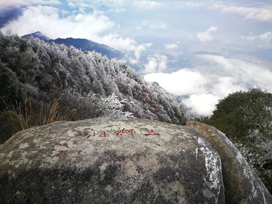 美哭｜3月2日天岳幕阜山现大面积雾凇美景，晶莹剔透美极了.