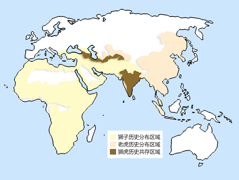 有虎无狮、有狮无虎的猛兽分布格局，是如何自然形成的？