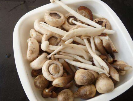 图片[3]-番茄蘑菇汤的做法-起舞食谱网
