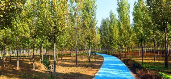 合陽(yáng)縣這些景區(qū)你知道多少,？