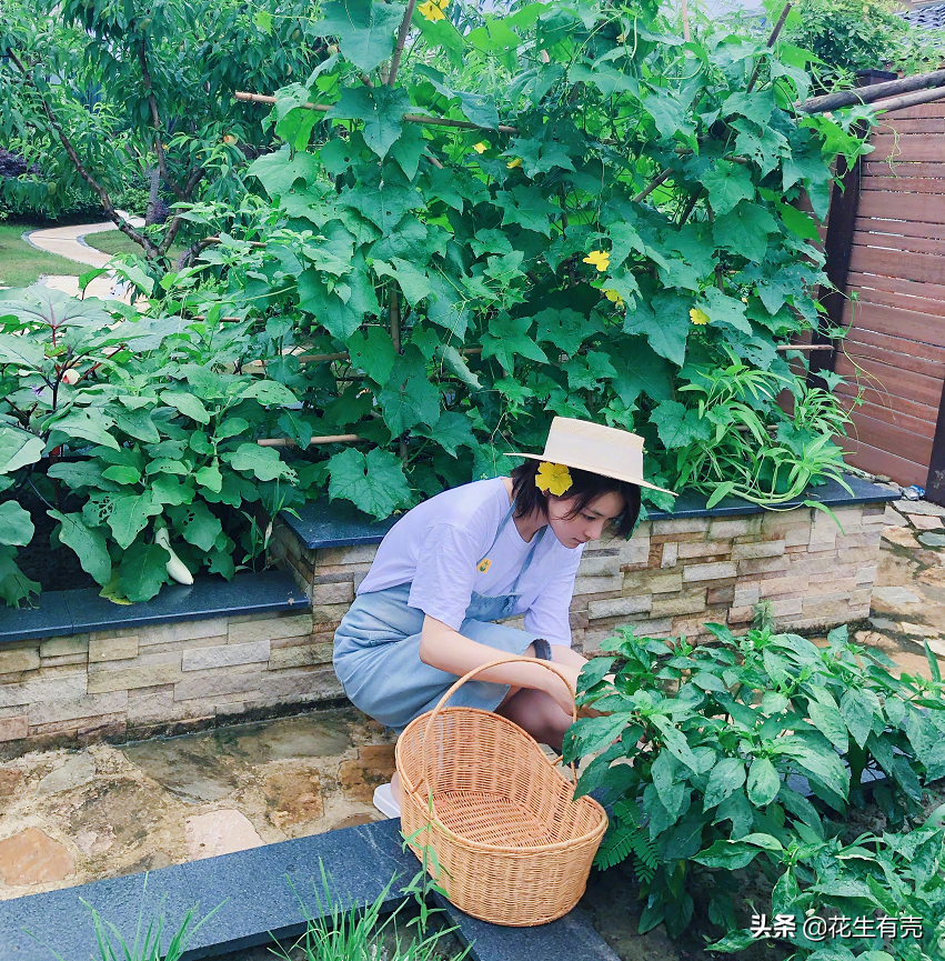 “种菜女神”张馨予：嫁给何捷才明白，双向奔赴的爱情有多甜