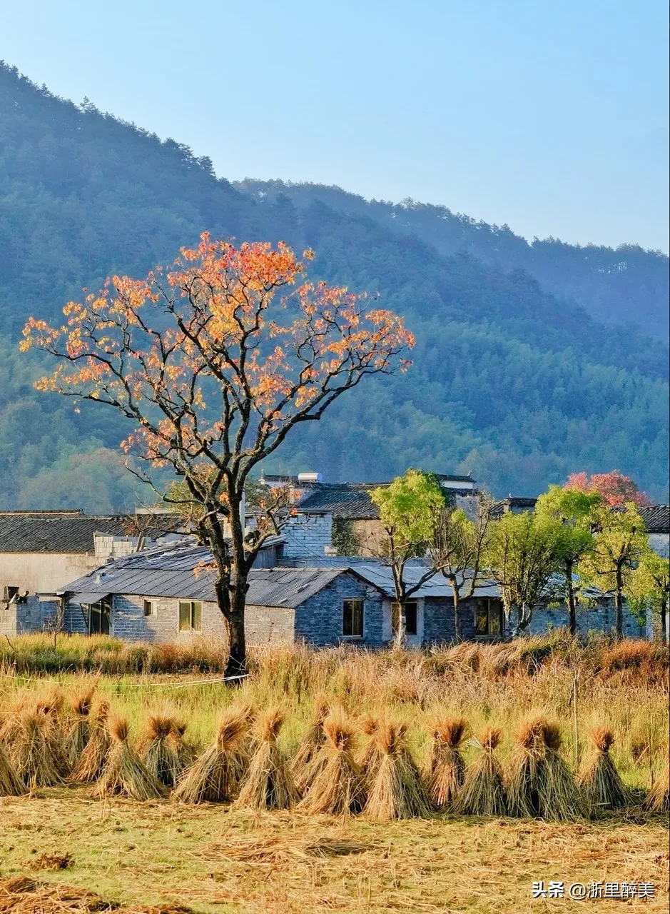10 ancient towns with beautiful autumn colors, if you are tired, go to stay for a few days