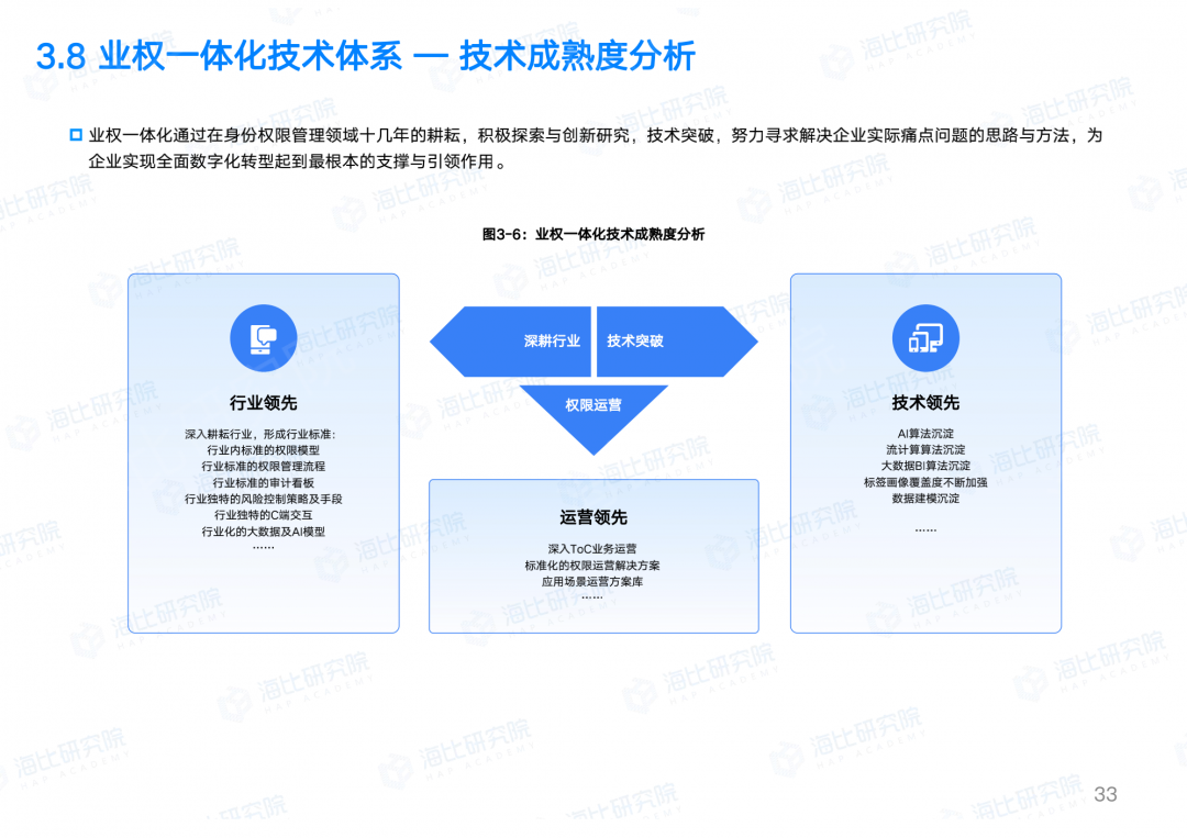 业权一体化报告：让权限回归业务本质，让IT聚焦数字智能