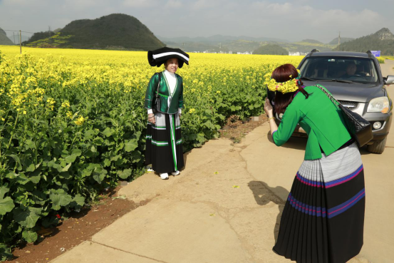 云南省罗平县：“赏花经济”带活乡村旅游