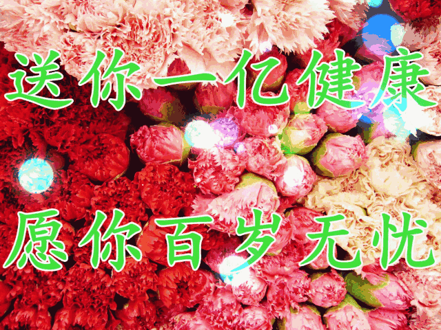 十一|今天正月十一祝福 一心一意的祝福送给群里的朋友谁打开谁幸福