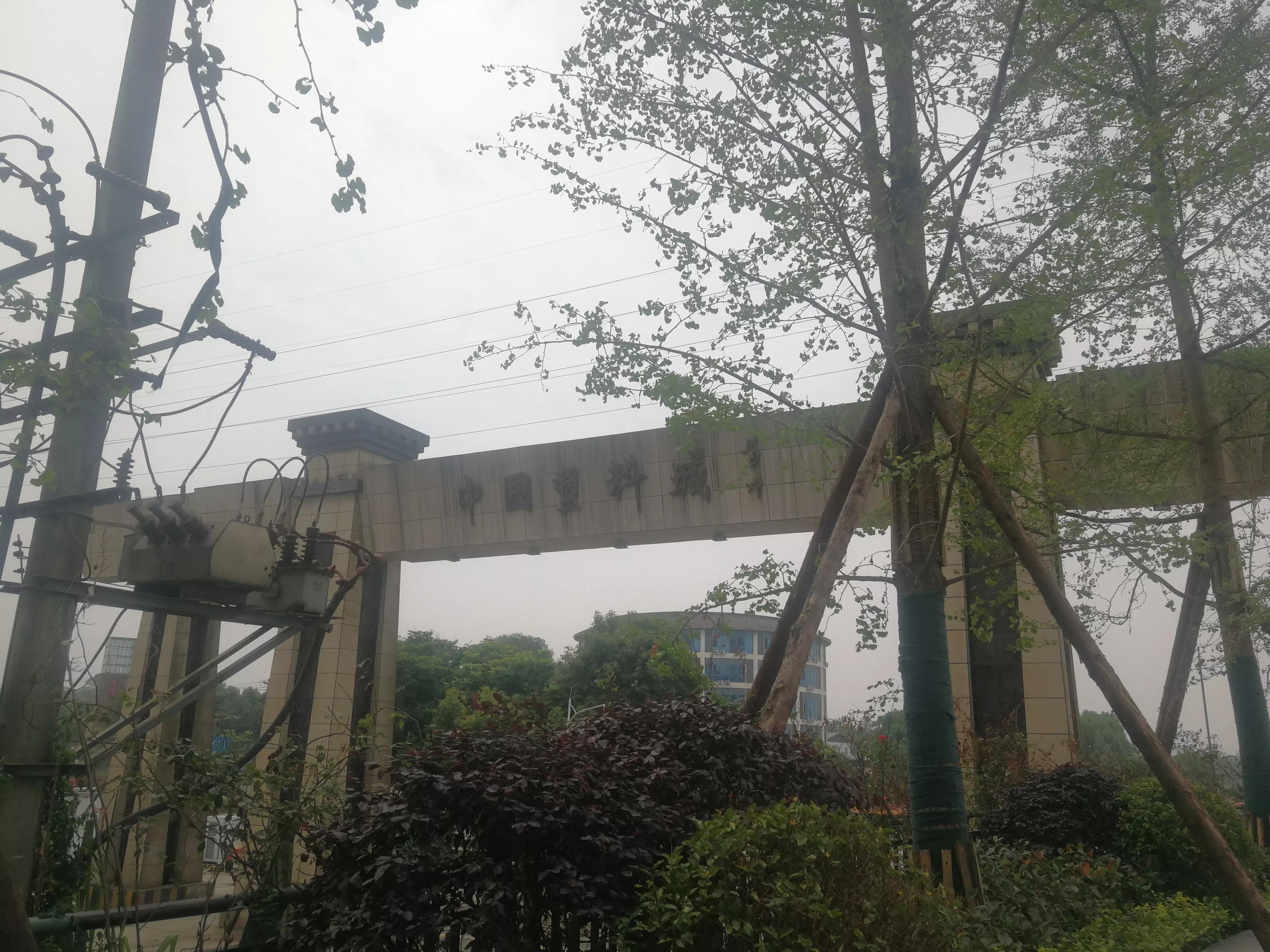 好乐网与中塑成都国际贸易中心 探索对接多渠道资源 赋能实体产业