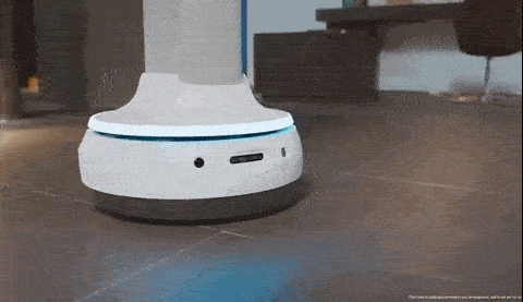  AI home robot