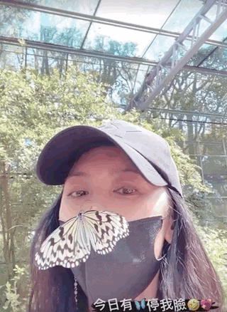 賈靜雯帶三個女兒牧場遊玩，梧桐妹雙手拎起咘咘波妞，姐姐力max