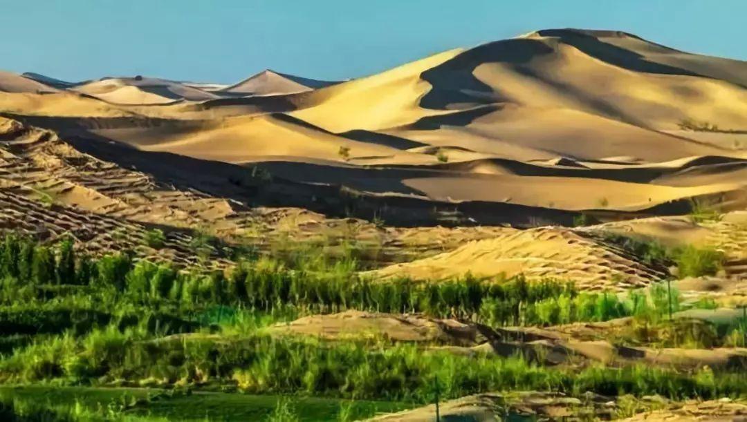 一直堅持植樹造林，未來我國的沙漠有可能全部消失嗎？
