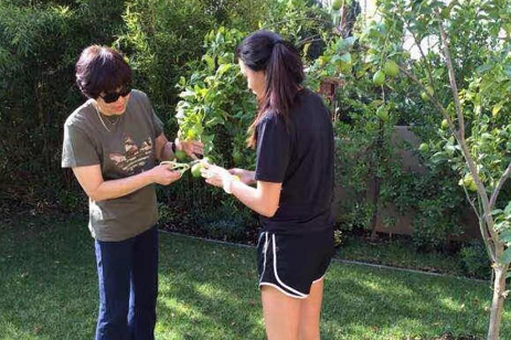 郎平三百平豪宅曝光，中西结合好奢华，屋外被草坪环绕有专属菜园
