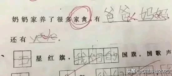 小学生造句“如果我是首富的儿子”，老师看完气炸了，是个人才