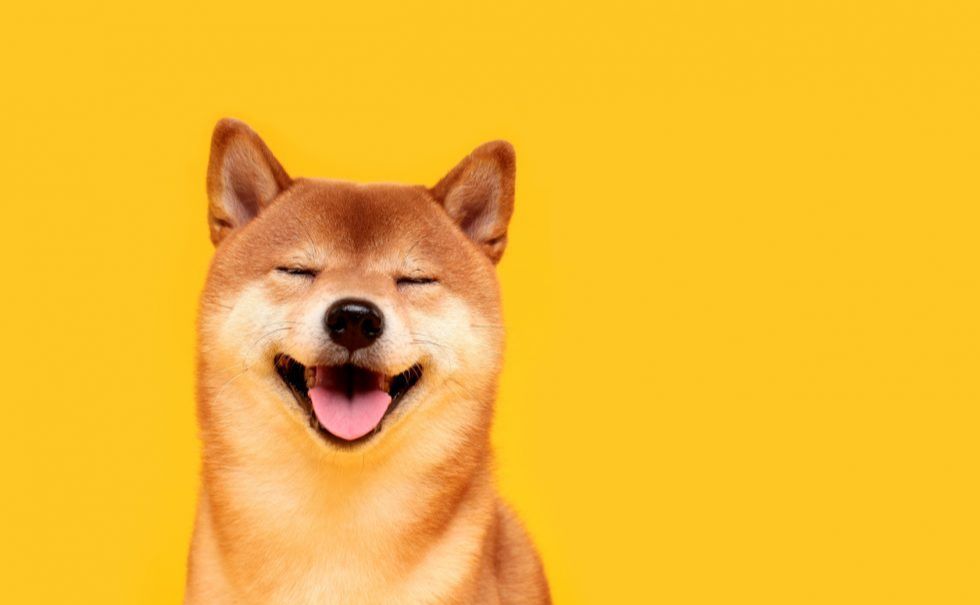 以太坊创始人“V神”销毁了钱包中剩余的90%SHIB，市场反应积极