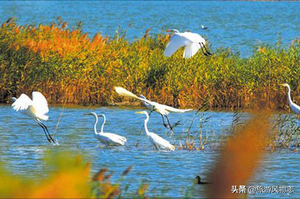 盘点甘肃的10个湖泊，一个比一个风景秀美，你去过吗？