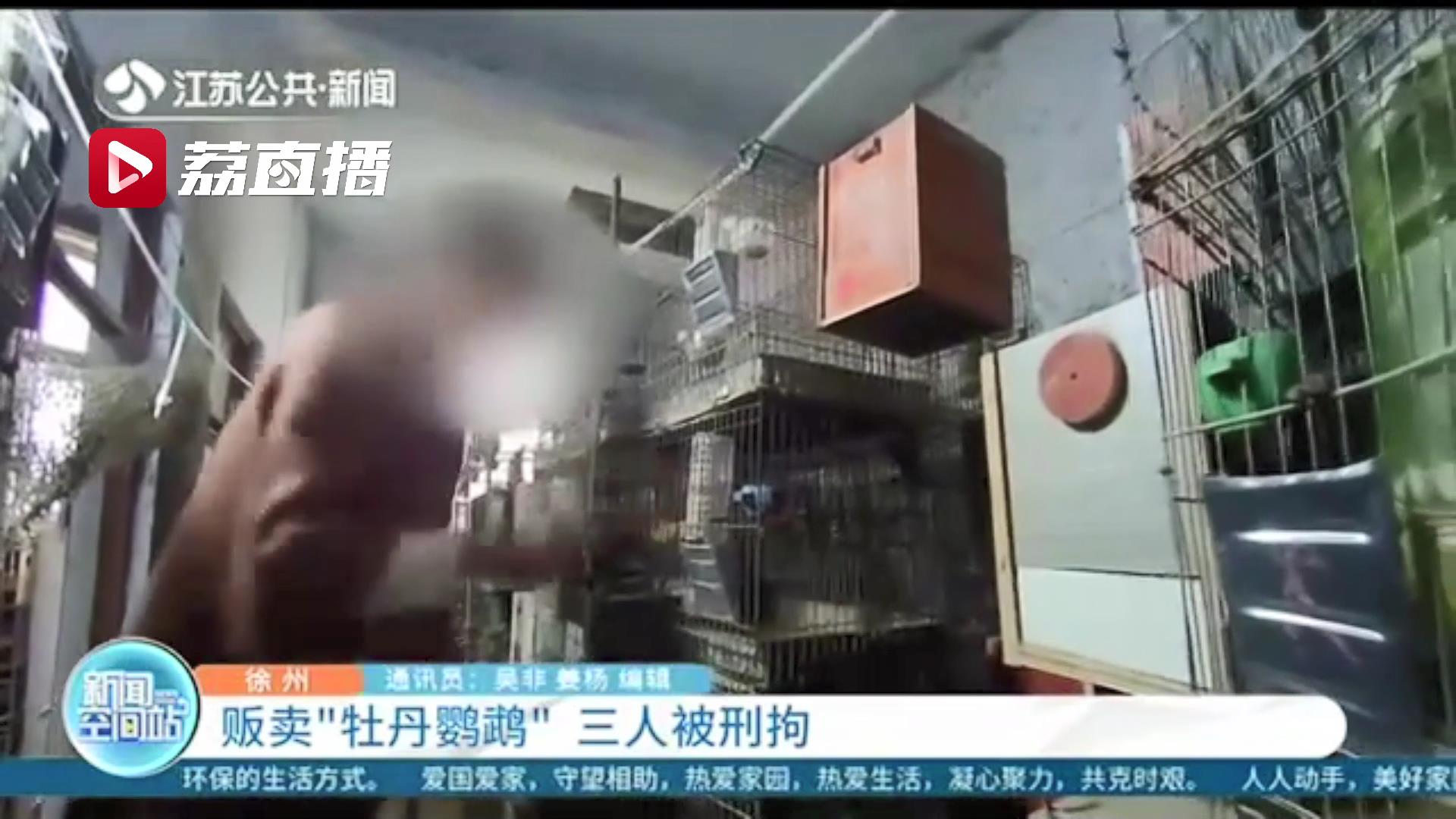 贩卖的鹦鹉是国家二级保护动物 还建了不小的鸟类养殖场 三人被刑拘