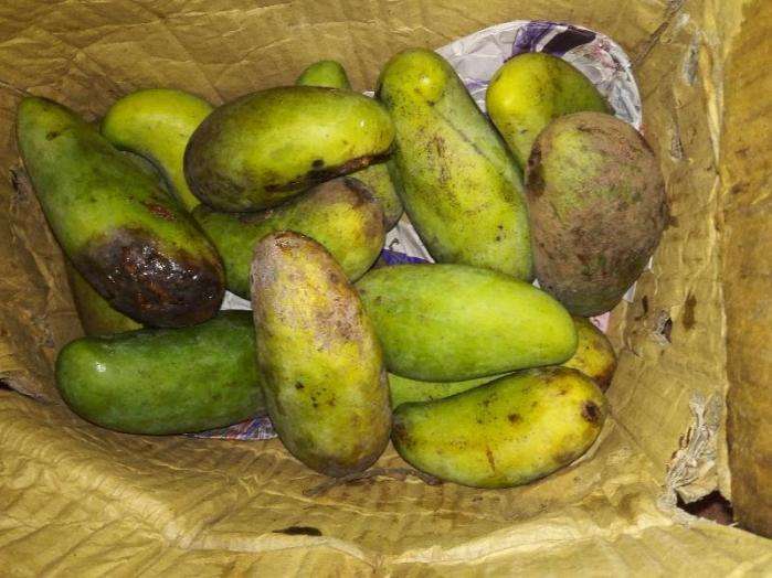 同一种水果为啥国外的价格20元，而国内的价格仅