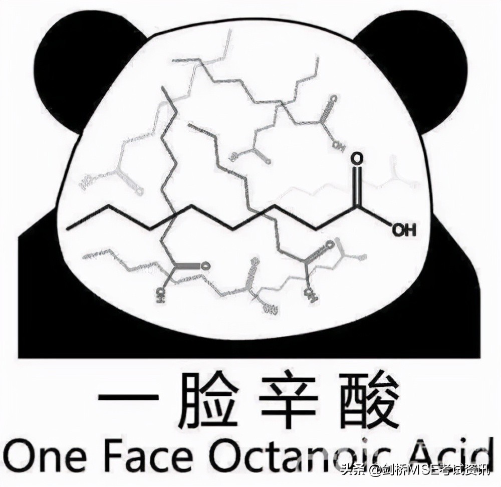 剑桥MSE丨听力与口语快速提分秘籍，收藏