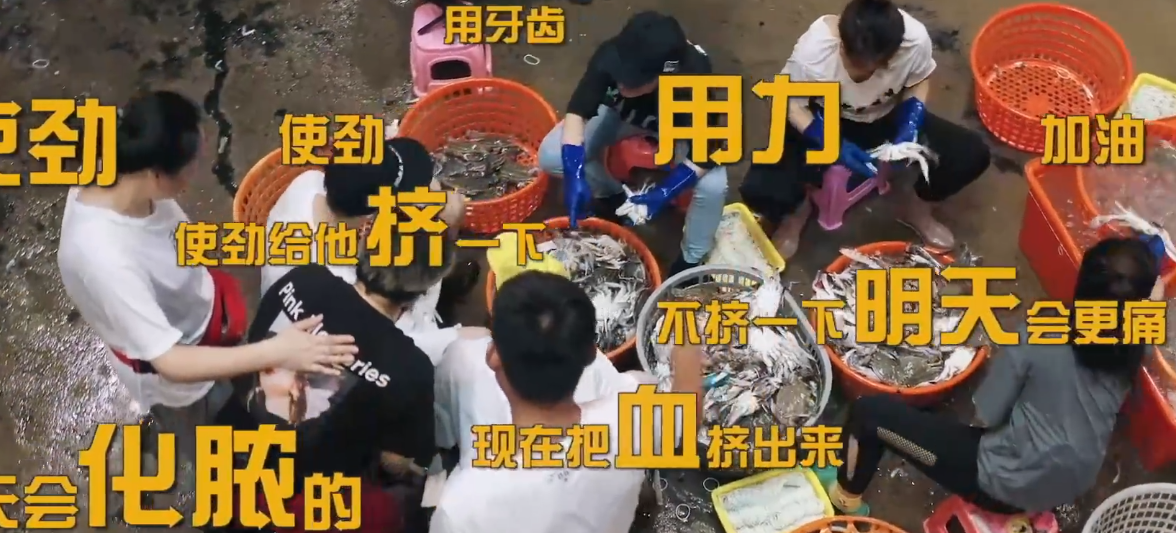 鹿晗被螃蟹夹到手后姐姐们的关心陈赫黄渤的做法很调皮