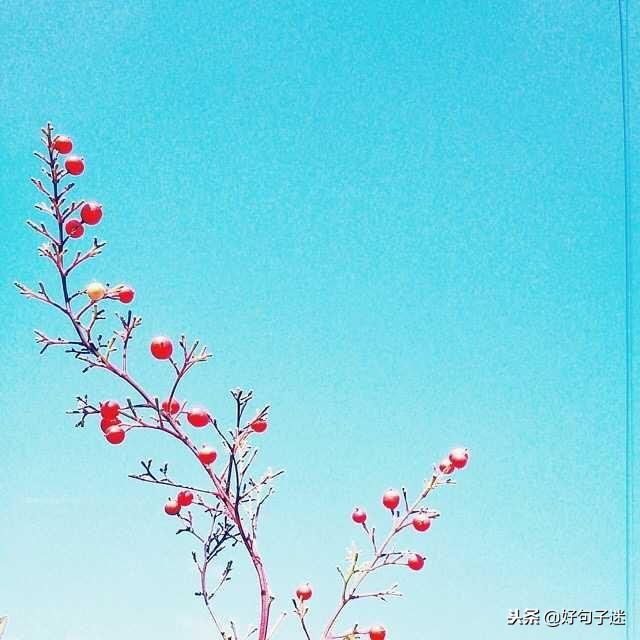 最好最简短的唯美句子 励志的句子致自己简短图片