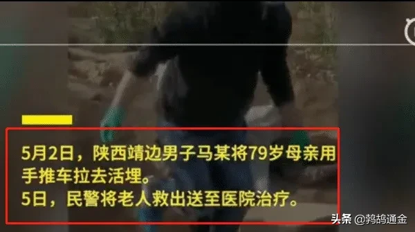 剧情反转？“活埋母亲”事件持续发酵，老人获