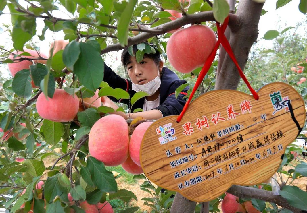 临沂高素质农民培育纪实 | 村支书领办合作社为贫困户架起“脱贫”桥梁
