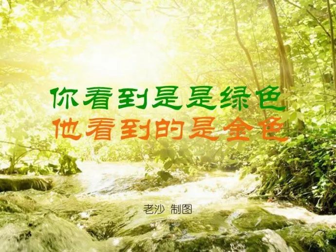股市早8点丨关于股市我的两点建议