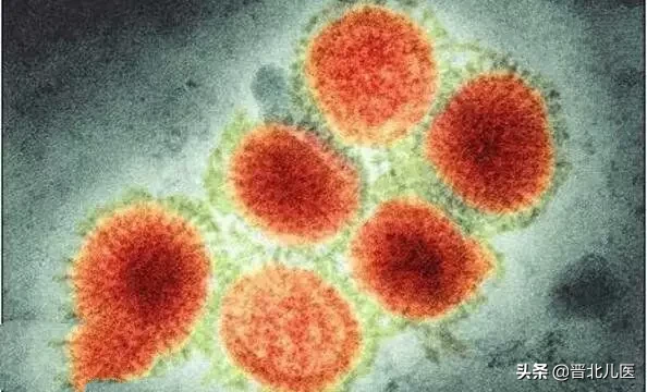 农乐生物 疫情来袭,来了解一下微生物!