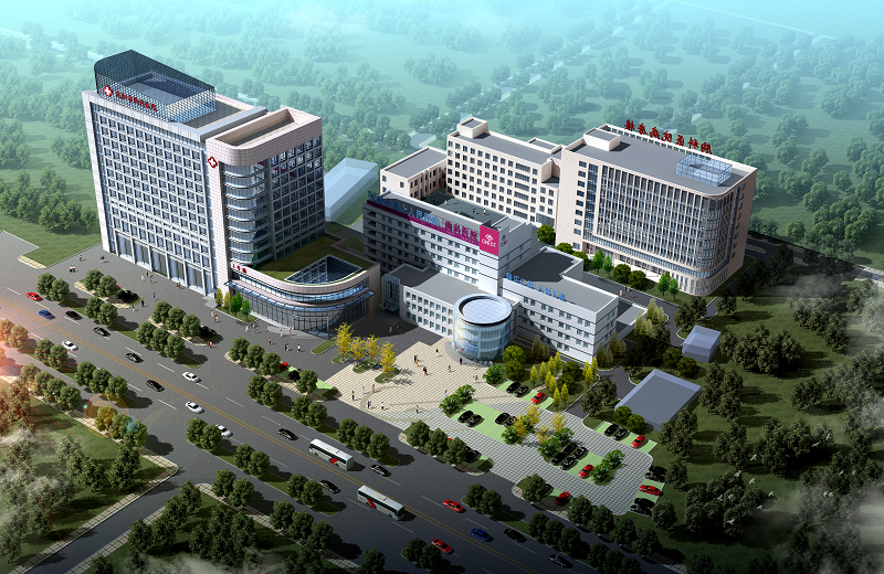 沈陽市衛生健康系統"人才建設年、科技創新年、基層提升年"建設成果之沈陽市第十人民醫院工作紀實