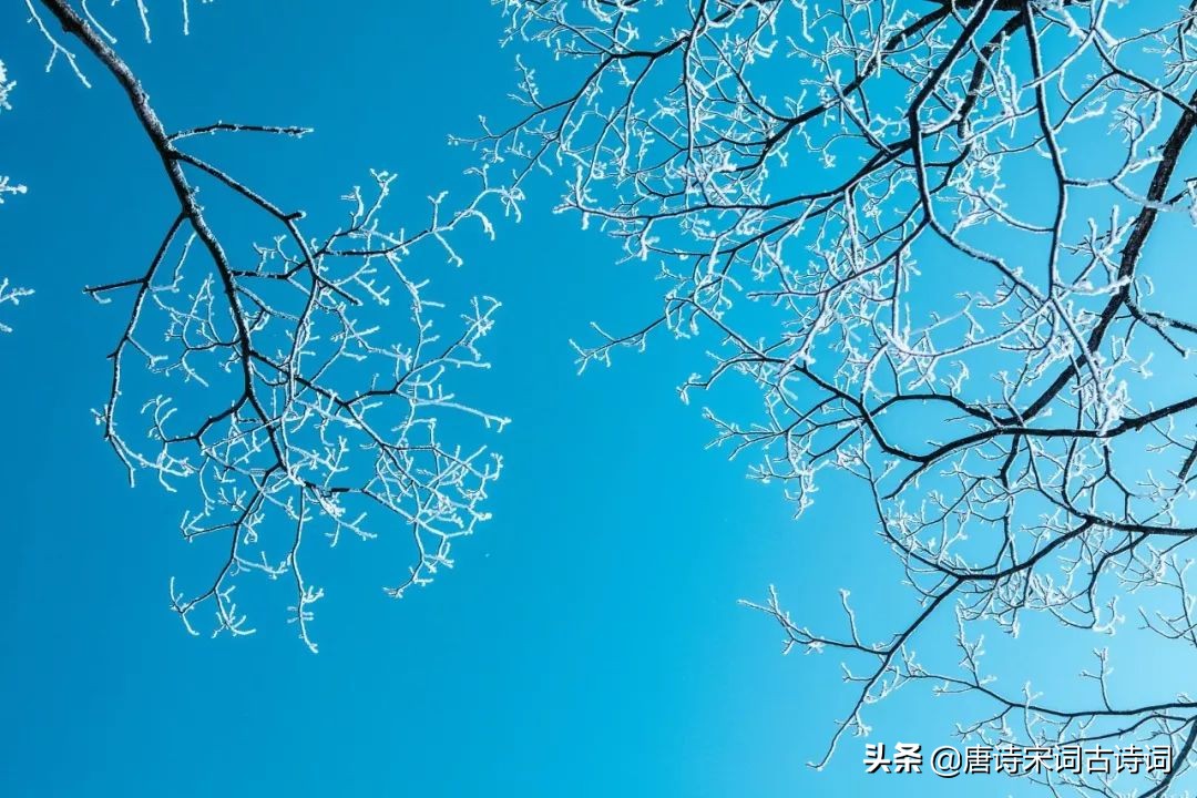 30首立冬诗词，在诗词里，体味诗意冬日-第1张图片-非凡网