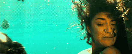 將鱷魚當做大餐，食人魚當做零食，凶猛的亞馬遜河狼——巨獺