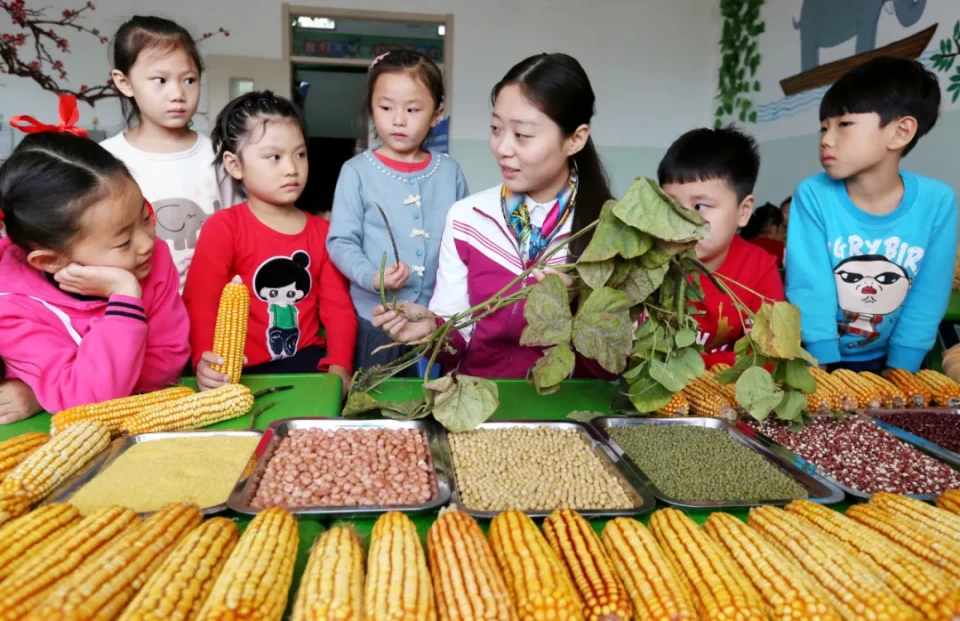 世界粮食日：珍惜“盘中米粒”体验“天地粮仓”